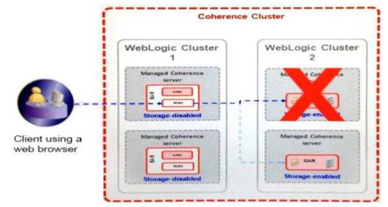 1Z0-134 dumps exhibit