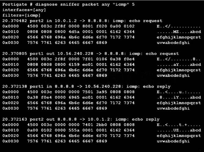 NSE4_FGT-7.0 dumps exhibit