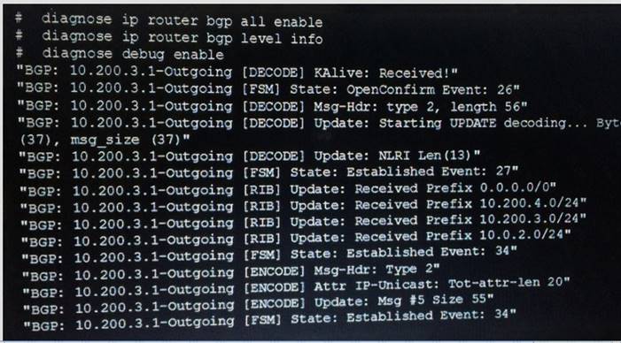 NSE7_EFW-6.0 dumps exhibit